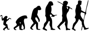 human_evolution_scheme-svg-copy